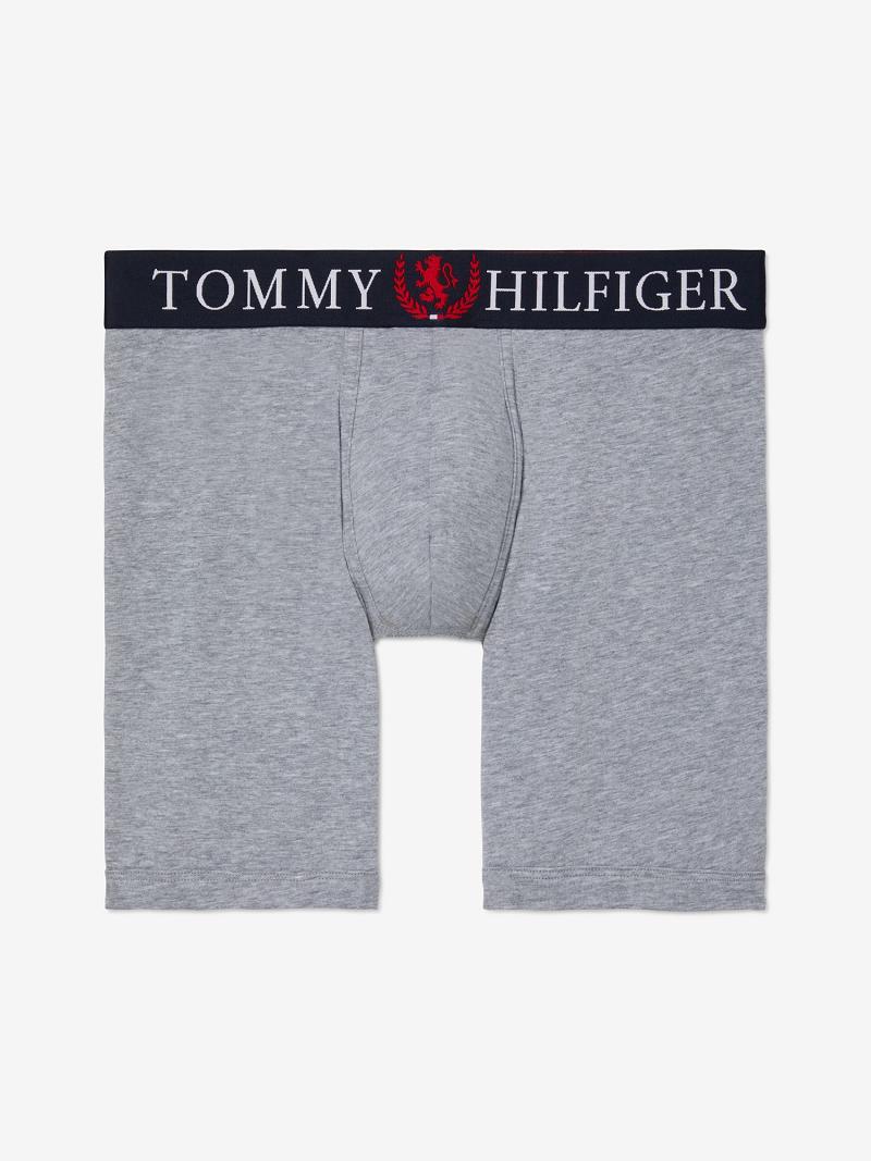 Férfi Tommy Hilfiger Authentic stretch boxer brief Boxer Briefs Szürke | HU 1351NWY